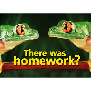 there was homework